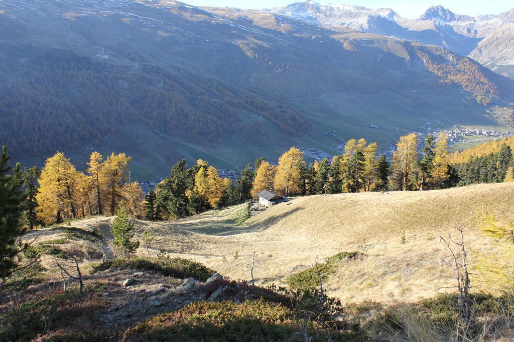 B&B Via Vai Livigno Eksteriør bilde